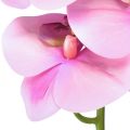 Floristik24 Orchid Phalaenopsis artificial 8 flowers pink 104cm