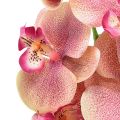 Floristik24 Orchid Phalaenopsis artificial 9 flowers pink vanilla 96cm