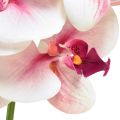 Floristik24 Orchid Phalaenopsis artificial 9 flowers white fuchsia 96cm