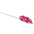 Floristik24 Orchid flamed Artificial Phalaenopsis Violet 72cm