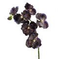 Floristik24 Orchid Vanda artificial violet L 44cm