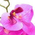Floristik24 Artificial Orchid Phalaenopsis Orchid Pink 78cm
