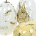 Floristik24 Easter decoration for hanging Easter egg motifs white, yellow, brown assorted 6 pieces