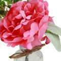 Floristik24 Peony decoration in the vase table decoration summer pink 20cm