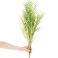 Kunst Palm Branch Artificial Plant for Arrangements 90cm | Floristik24.co.uk