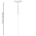 Pampas Grass Dried Flowers Bleached 70cm 15 Stems | Floristik24.co.uk