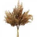 Floristik24 Artificial pampas grass brown dry decoration ornamental grass 35cm 4pcs