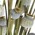 Floristik24 Dried poppy seed capsules natural dried flowers bunch deco poppy 90g