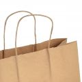 Floristik24 Paper carrier bags paper bags gift bags 33.5x14cm 50pcs