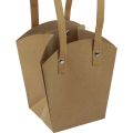 Floristik24 Paper bags handle planter paper natural 9.5×9.5×15cm 10p