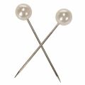 Pearl head pins champagne Ø15mm 75mm | Floristik24.co.uk