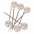 Floristik24 Pearl head pins champagne Ø20mm 90mm