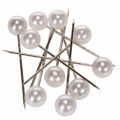 Floristik24 Pearl Head Pins White Ø15mm 75mm