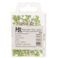 Green pearl-headed floristry pins, versatile use, Ø4mm, 40mm, 150 pieces | Floristik24.co.uk