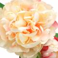 Floristik24 Peony with flower and bud artificial peach 70cm