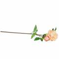 Floristik24 Peony with flower and bud artificial peach 70cm