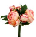 Floristik24 Peony Bouquet Peach 30cm