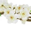 Floristik24 Artificial peach blossom branch cream color 69cm