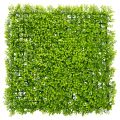 Floristik24 Artificial Boxwood Panel 55x55 cm Green for Decorative Wall Design