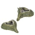 Floristik24 Palm Heart Planter with Plastic Lining 22cm Green Set of 2