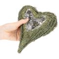 Palm Heart Planter with Plastic Lining 22cm Green Set of 2 | Floristik24.co.uk