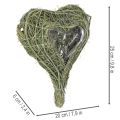 Potted Heart Decoration from Natural Materials with Protective Liner 25cm | Floristik24.co.uk