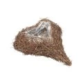 Plant heart vine heart plant bowl natural Salim 21×20.5×6cm | Floristik24.co.uk