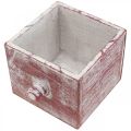 Floristik24 Plant box wooden decorative drawer shabby chic red white 12cm