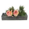 Floristik24 Plant box made of wood gray 30cm x 9.5cm x 6cm