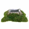 Floristik24 Plant cushion moss, bark 25cm × 25cm