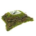 Floristik24 Plant pillow moss with vine 20cm x 20cm