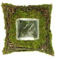 Floristik24 Plant pillow moss with vine 30cm x 30cm