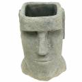 Floristik24 Plant head Moai bust gray H28cm