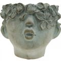 Floristik24 Plant head, decorative bust, flower head, concrete decoration, antique look H18cm