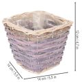 ProductName  
Square Wooden Planter Set with Inner Plastic Lining – 4 Pieces – 14cm  

/ProductName  

ProductDescription  

<h2>Square Wooden Planters with Plastic Lining – Ideal for Small Indoor Plants</h2>  

<p>Bring a touch of rustic charm into your  | Floristik24.co.uk