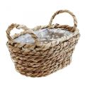 Floristik24 Plant basket seagrass basket with handles oval decoration 23×13×9cm