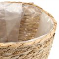 Floristik24 Plant basket planter seagrass basket deco nature Ø26cm H23cm