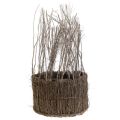 Floristik24 Plant basket made of twigs white washed Ø15-25cm set of 3