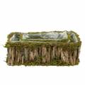 Floristik24 Planting basket square moss, bark 34 × 15.5 / 24.5 × 11cm, set of 2