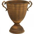 Floristik24 Plant pot rust look cup vase metal Ø22,5cm H32,5cm
