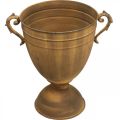 Plant pot rust look cup vase metal Ø22,5cm H32,5cm | Floristik24.co.uk