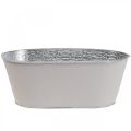 Floristik24 Plant bowl metal flower bowl oval cream 25x14.5x10cm