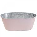 Floristik24 Plant bowl metal flower bowl oval pink 25x14.5x10cm
