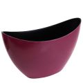 Floristik24 Plant boat decorative bowl bowl Berry 20×9cm H12cm