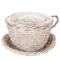 Floristik24 Wicker Cup and Saucer Table Decoration with Liner, 34cm
