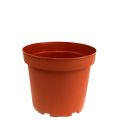 Floristik24 Plant pot plastic inner pot Ø10.5cm 10pcs