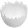 Floristik24 Plant pot eggshell white Ø12cm H9cm 2pcs