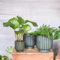 Floristik24 Plant pot, ceramic vessel, corrugated planter green, brown Ø11.5cm H12.5cm