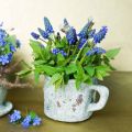Floristik24 Plant pot cachepot cup vintage grey, natural clay Ø8.5cm H8cm 4pcs