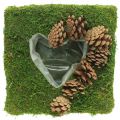 Floristik24 Plant cushion heart moss and cones square 25 × 25cm